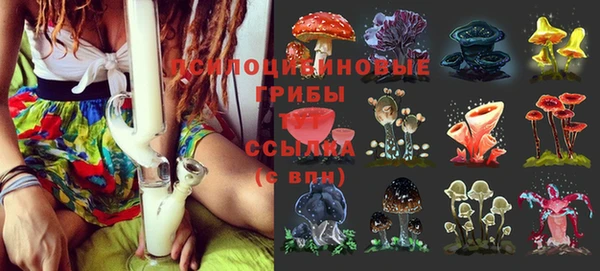 COCAINE Дмитриев